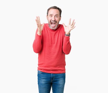 Yakışıklı orta yaş ağarmış komuta sizde üzerinde kış kazak giymiş deli kutluyor arka plan izole ve başarı için kaldırdı kollarını açarak hayrete ve heyecanlı çığlık gözleri açık. Kazanan kavramı