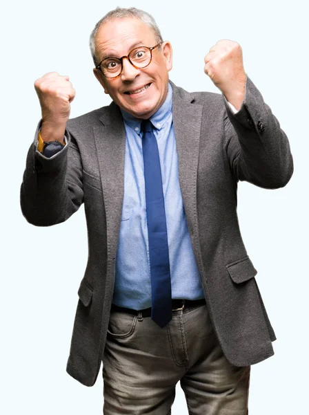 Handsome Senior Businesss Man Wearing Glasses Tie Very Happy Excited — Stock Photo, Image