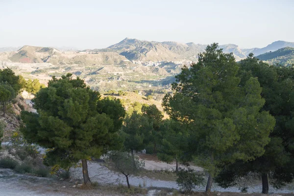 Prachtige Alpine Landschap Groene Berg Milieu Blauwe Hemel Een Zonnige — Stockfoto