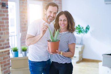 Yeni bir eve taşımak için mutlu gülümseyen Aloe Vera bitki tutan orta yaş kıdemli romantik çift