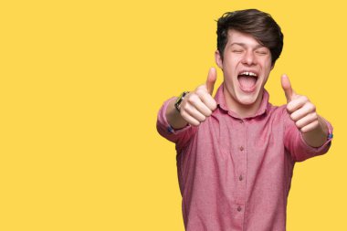 Genç yakışıklı iş adamı izole arka plan onaylama üzerinde el ile pozitif jest yapıyor gülümseyen ve başarı için mutlu yaşasın. Kamera, kazanan jest arıyorsunuz.