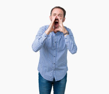 İzole arka plan ağzına sesle elleriyle kızgın bağırarak üzerinde zarif komuta sizde yakışıklı orta yaş