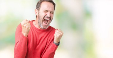 Gülümseyen ve başarı için çığlık izole arka plan çok mutlu ve heyecanlı kaldırdı, silah ile kazanan jest yapıyor üzerinde kış kazak giymiş yakışıklı orta yaş ağarmış komuta sizde. Kutlama kavramı.