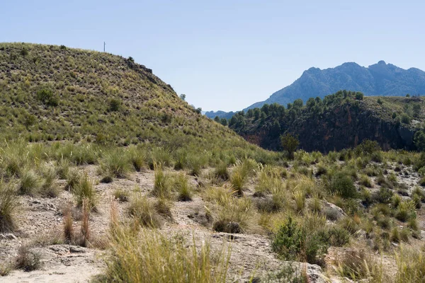 Prachtige Alpine Landschap Groene Berg Milieu Blauwe Hemel Een Zonnige — Stockfoto