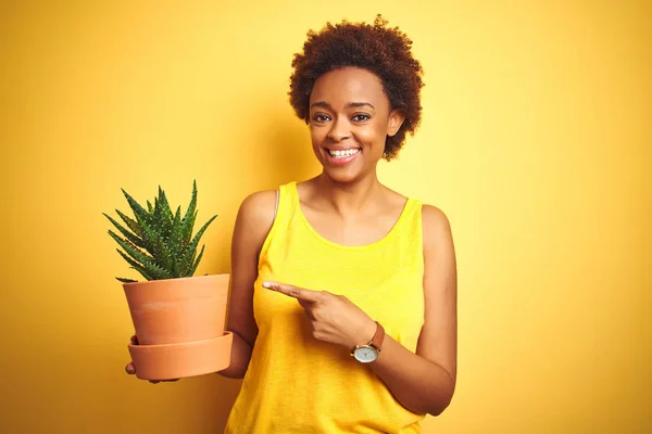 孤立した黄色の背景の上にサボテンポットを持つ若いアフリカ系アメリカ人女性は 手と指で非常に幸せな指差し — ストック写真