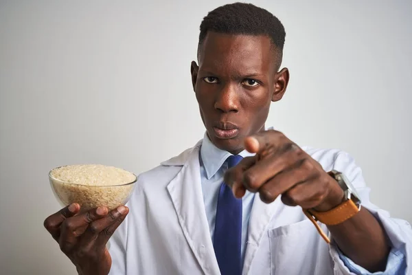 Afro Amerikaanse Doctor Man Holding Bowl Met Rijst Staande Geïsoleerde — Stockfoto