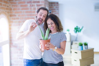 Orta yaş Senior romantik çift tutarak Aloe Vera bitki gülümseyerek