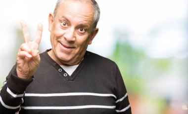 Mutlu yüz zafer işareti yaparken kameraya göz kırpıyor ile gülümseyen kış çizgili süveter giymiş yakışıklı komuta sizde. İki numaralı.