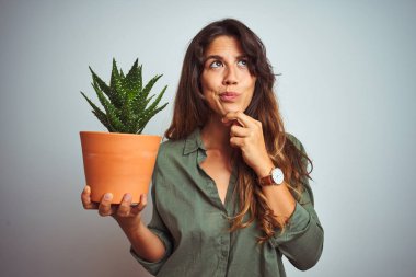 Beyaz izole arka plan ciddi yüz üzerinde kaktüs pot tutan genç güzel kadın soru hakkında düşünme, çok karışık fikir