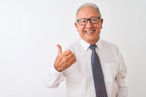 Empresário Cabelos Grisalhos Sênior Usando Gravata Óculos Sobre Fundo Branco — Fotografia de Stock
