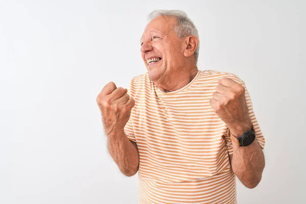 Senior Grey Haired Man Bär Randig Shirt Stående Över Isolerad — Stockfoto