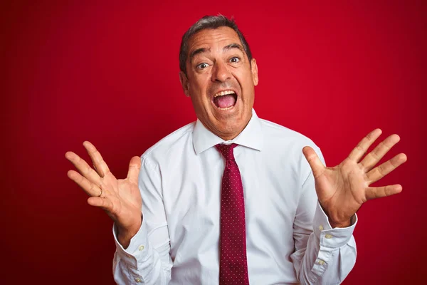 Handsome Middle Age Businessman Standing Isolated Red Background Celebrating Crazy — Stock Photo, Image