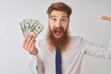 Genç Kızıl İrlandalı işadamı tutan dolar izole beyaz arka plan üzerinde ayakta çok mutlu ve heyecanlı, kazanan ifade zafer büyük gülümseme ile çığlık kutluyor ve eller kaldırdı