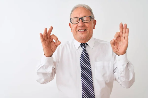 Senior Hombre Negocios Pelo Gris Con Corbata Gafas Sobre Fondo —  Fotos de Stock