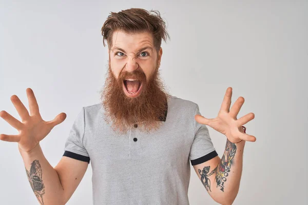 Young Redhead Irish Man Wearing Grey Polo Standing Isolated White — Stock Photo, Image