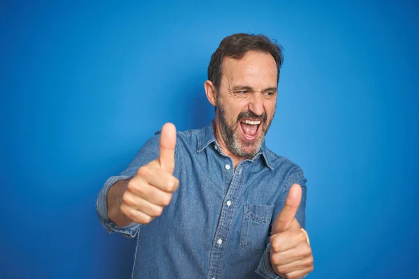 Hombre Mayor Guapo Mediana Edad Con Pelo Gris Sobre Fondo —  Fotos de Stock