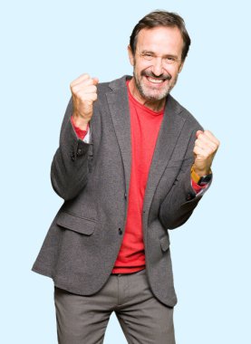 Gülümseyen ve başarı için çığlık orta yaş yakışıklı iş adamı çok mutlu ve heyecanlı kaldırdı, silah ile kazanan jest yapıyor. Kutlama kavramı.