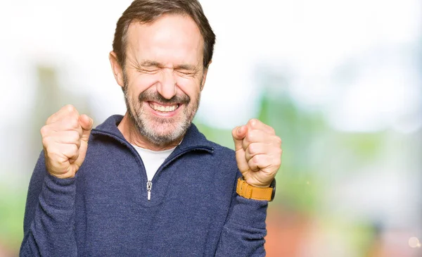 Middle Age Handsome Man Wearing Sweater Excited Success Arms Raised — Stock Photo, Image