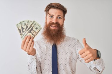 Genç Redhead İrlandalı işadamı tutan dolar izole beyaz arka plan üzerinde ayakta büyük gülümseme ile ok işareti, başparmak yukarı parmaklar, mükemmel işareti yapıyor