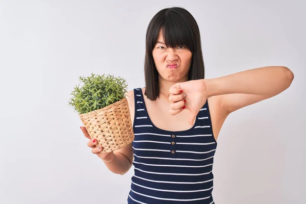Young beautiful Chinese woman holding plant pot standing over isolated white background with angry face, negative sign showing dislike with thumbs down, rejection concept