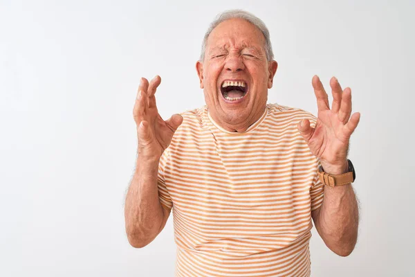 Senior Grey Haired Man Bär Randig Shirt Stående Över Isolerad — Stockfoto