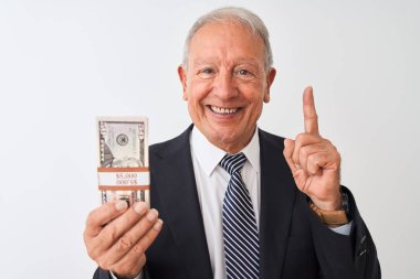 Üst düzey gri saçlı işadamı takım elbise giyen izole beyaz arka plan üzerinde dolar tutan mutlu yüz, bir numaralı ile bir fikir veya soru işaret parmağı ile şaşırttı