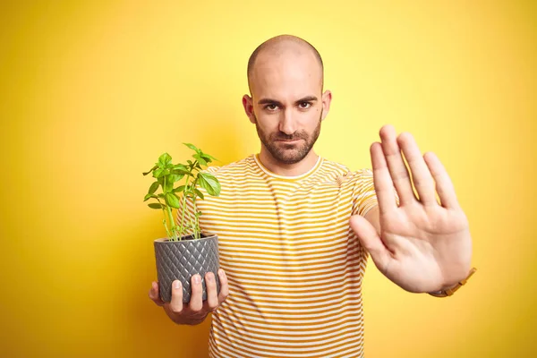 Young man holding basil plat plot over isolated yellow background with open hand doing stop sign with serious and confident expression, defense gesture