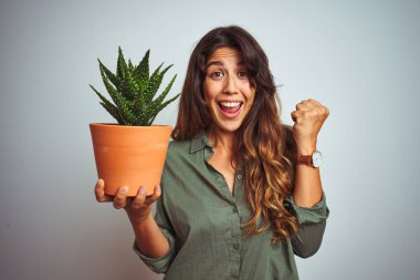 Genç güzel kadın beyaz izole arka plan üzerinde kaktüs pot tutan gurur çığlık ve zafer ve başarı çok heyecanlı kutluyor, duygu tezahürat