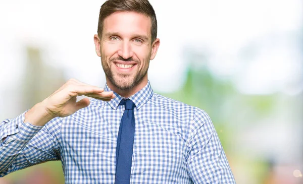 Handsome business man wearing tie gesturing with hands showing big and large size sign, measure symbol. Smiling looking at the camera. Measuring concept.