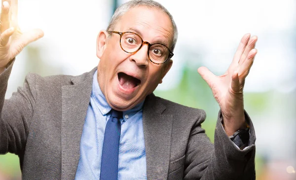 Guapo Hombre Negocios Senior Con Gafas Corbata Celebrando Loco Sorprendido —  Fotos de Stock