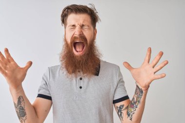 Genç kızıl İrlandalı adam izole beyaz arka plan üzerinde duran gri polo giyen silah kaldırdı ve kapalı gözleri heyecanlı çığlık ile başarı için deli ve deli kutluyor. Kazanan kavramı