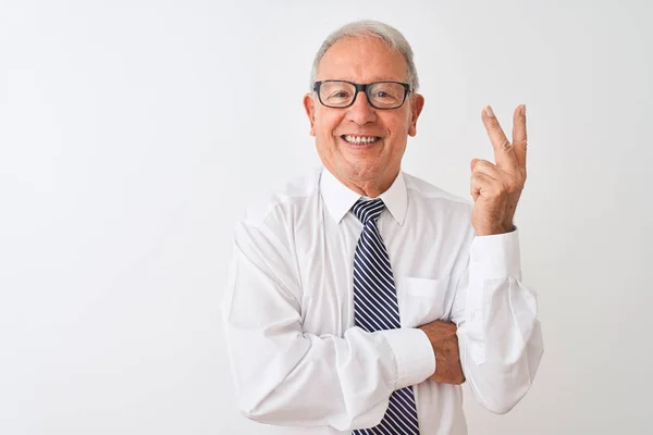 Hombre Negocios Pelo Gris Mayor Con Corbata Gafas Sobre Fondo —  Fotos de Stock