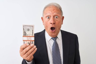 Üst düzey gri saçlı işadamı takım elbise giyen izole beyaz arka plan üzerinde dolar tutan sürpriz bir yüz ile şok korkmuş, korku ve korku ifade ile heyecanlı