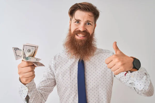 Jonge Redhead Ierse Zakenman Houden Dollars Staande Geïsoleerde Witte Achtergrond — Stockfoto