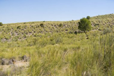Güzel dağ manzarası, yeşil dağ çevre ve mavi gökyüzü güneşli bir günde