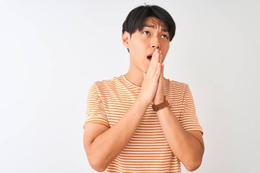 Izole beyaz arka plan üzerinde duran rahat çizgili t-shirt giyen genç Çinli adam çok duygusal ve endişeli yüzünde umut ifadesi ile birlikte elleri ile dua. Af dilemek istiyorum. Din kavramı.