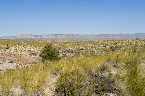 Prachtige Alpine Landschap Groene Berg Milieu Blauwe Hemel Een Zonnige — Stockfoto