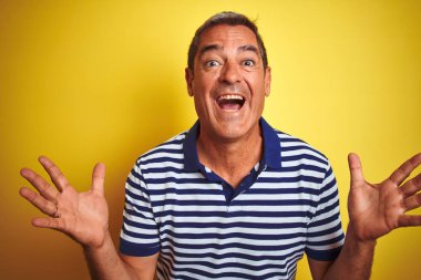 Yakışıklı orta yaş adam çizgili polo giyen izole sarı arka plan üzerinde duran deli kutluyor ve kollarını kaldırdı ve açık gözleri heyecan çığlık ile başarı için hayran. Kazanan kavramı