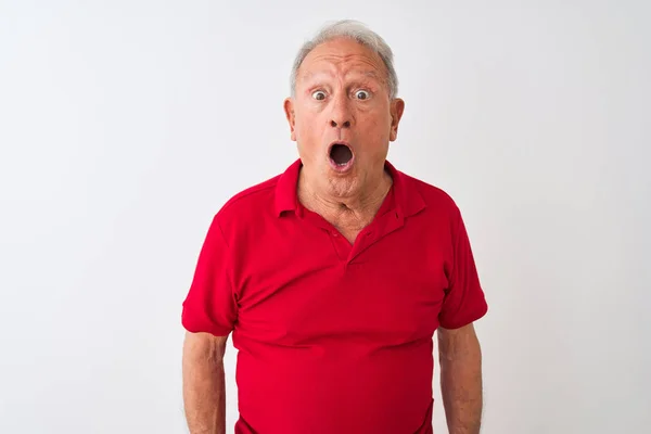 Senior Grey Haired Man Klädd Röd Polo Stående Över Isolerad — Stockfoto