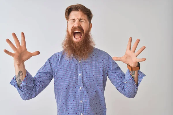 Genç Redhead İrlandalı adam rahat gömlek ayakta izole beyaz arka plan üzerinde duran giyen deli ve silah ile başarı için deli heyecan çığlık kaldırdı ve kapalı gözleri. Kazanan kavramı