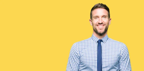 Hombre Negocios Guapo Usando Corbata Con Una Sonrisa Alegre Fresca — Foto de Stock