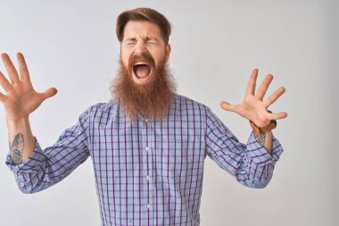 Genç Redhead İrlandalı adam rahat gömlek ayakta izole beyaz arka plan üzerinde duran giyen deli ve silah ile başarı için deli heyecan çığlık kaldırdı ve kapalı gözleri. Kazanan kavramı