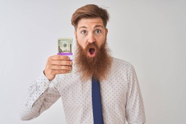 Genç kızıl İrlandalı işadamı izole beyaz arka plan üzerinde duran dolar tutan sürpriz bir yüz ile şok korkmuş, korku ifade korku ve heyecanlı