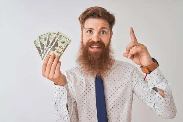 Genç kızıl İrlandalı işadamı izole beyaz arka plan üzerinde duran dolar tutan mutlu yüz, bir numara ile bir fikir veya soru işaret parmağı ile şaşırttı