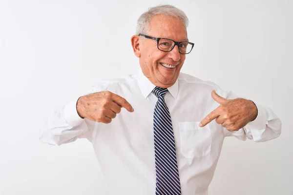 Senior Grey Haired Businessman Wearing Tie Glasses Isolated White Background — Stock Photo, Image