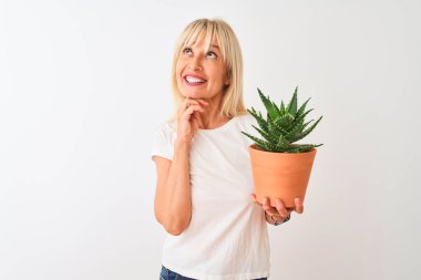 Orta yaş kadın izole beyaz arka plan üzerinde duran kaktüs pot tutan ciddi yüz soru hakkında düşünme, çok karışık bir fikir