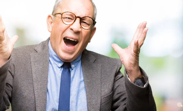 Handsome Senior Businesss Man Wearing Glasses Tie Crazy Mad Shouting — Stock Photo, Image