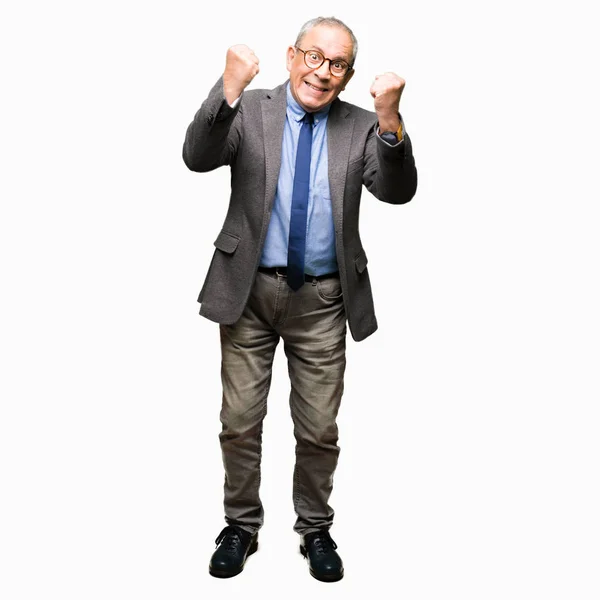 Przystojny Starszy Biznes Człowiek Nosi Okulary Krawat Bardzo Szczęśliwy Podekscytowany — Zdjęcie stockowe