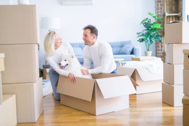 Karton kutular etrafında yeni evde yerde oturan köpek ile genç güzel çift