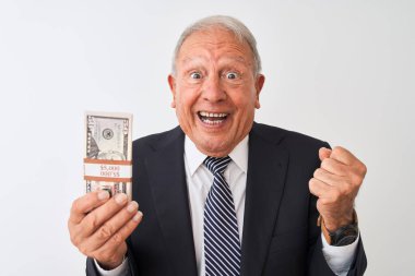 Üst düzey gri saçlı işadamı takım elbise giyen izole beyaz arka plan üzerinde gurur çığlık ve zafer ve başarı çok heyecanlı kutluyor, duygu tezahürat